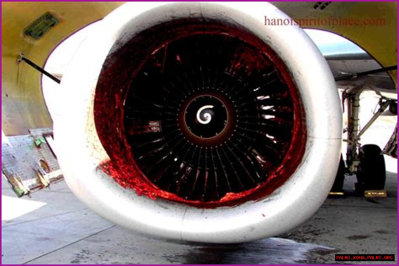 Air Astana Engine CCTV Footage Reveals Insights
