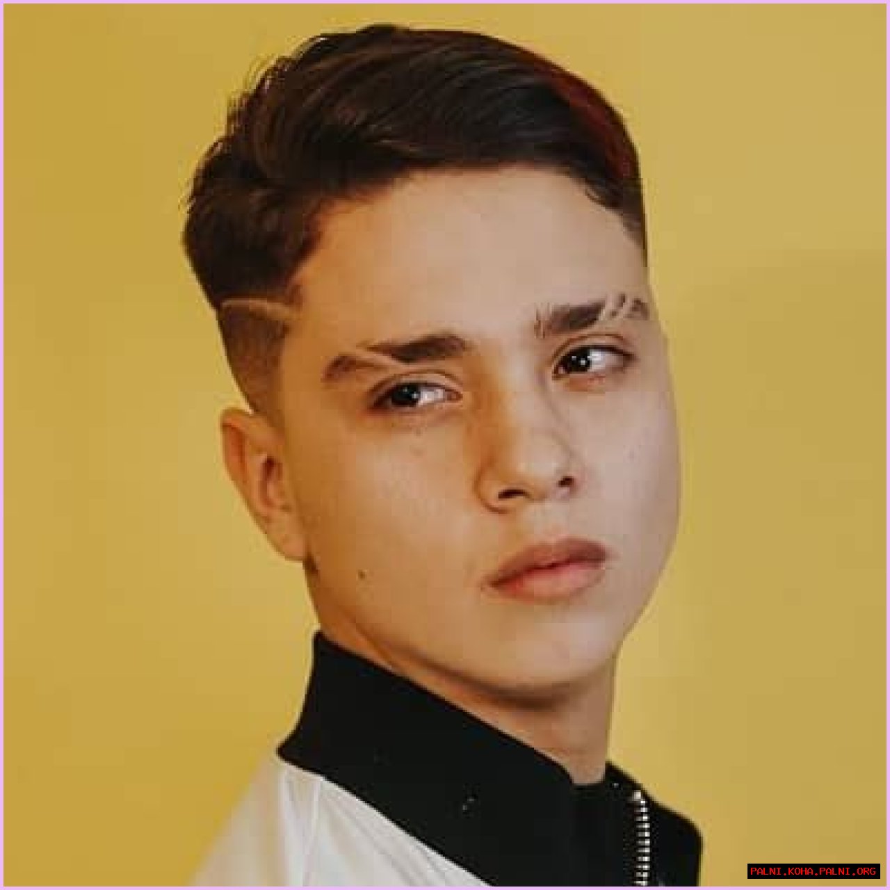 Cesar Pantoja – Mexican TikTok Star & YouTuber | Age, Biography, Wiki, Career, Net Worth, Earnings, Wife, Instagram & Facts
