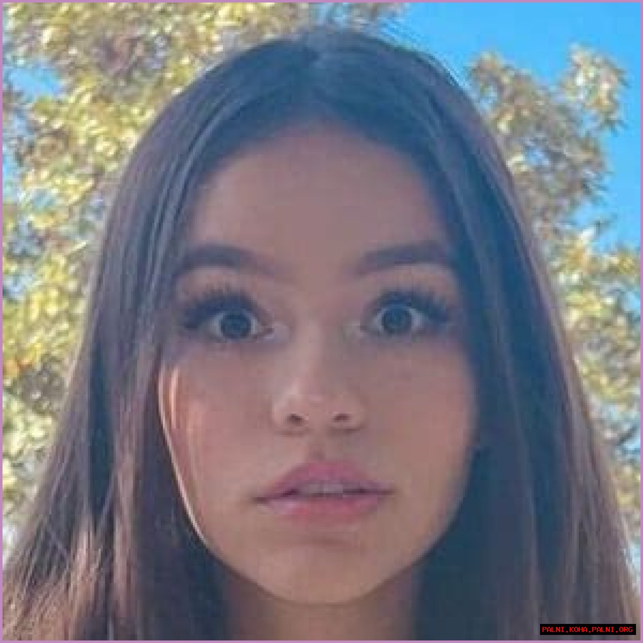Chloe Marquez Height, Age, Who, Boyfriend, Biography, Wiki, Net Worth
