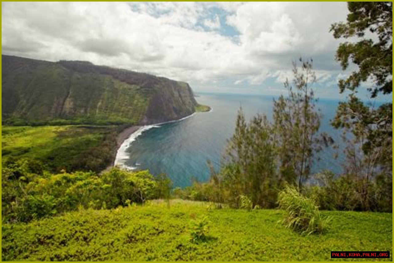 Hamakualoa Maui: Experience The Charming North Shore