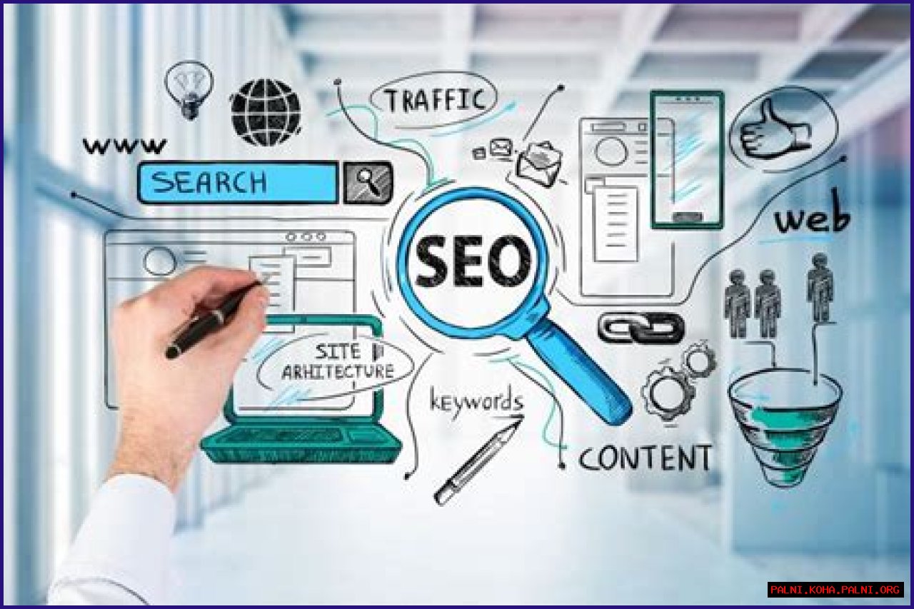 Jim Saroka: SEO Optimization And Digital Marketing Expert
