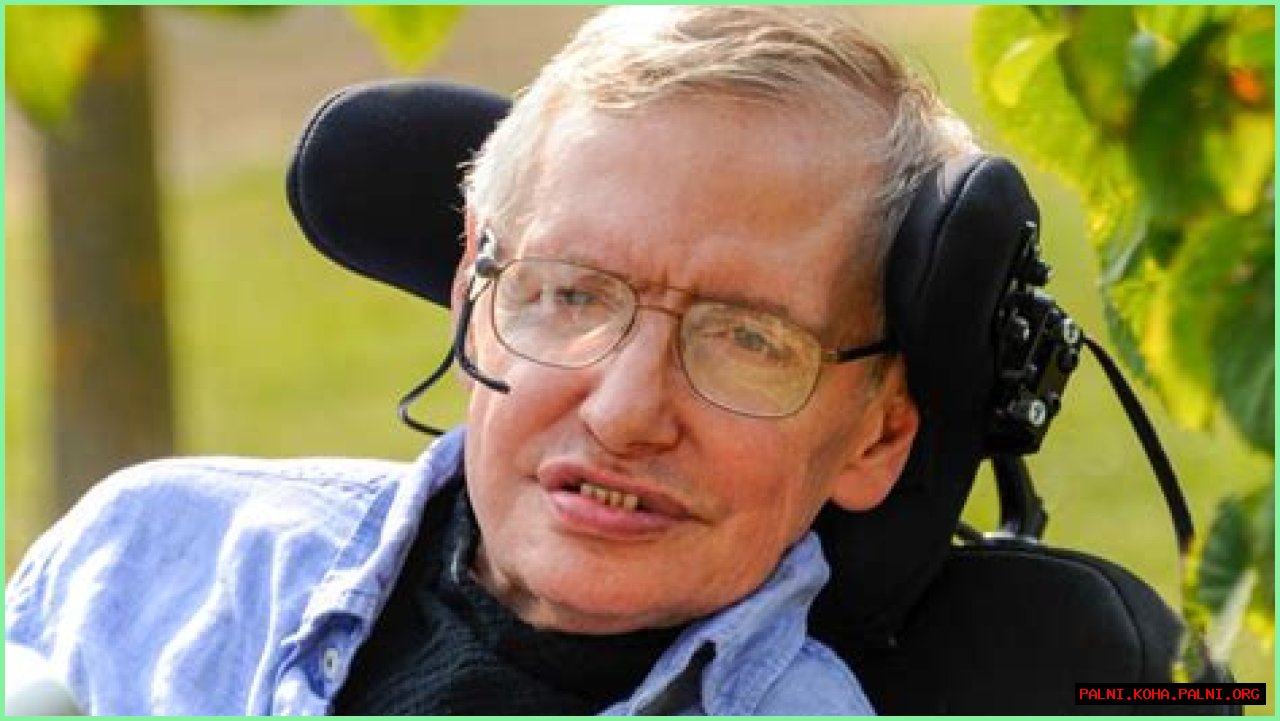 Stephen Hawking's Legacy And Allegations Of Academic Misconduct