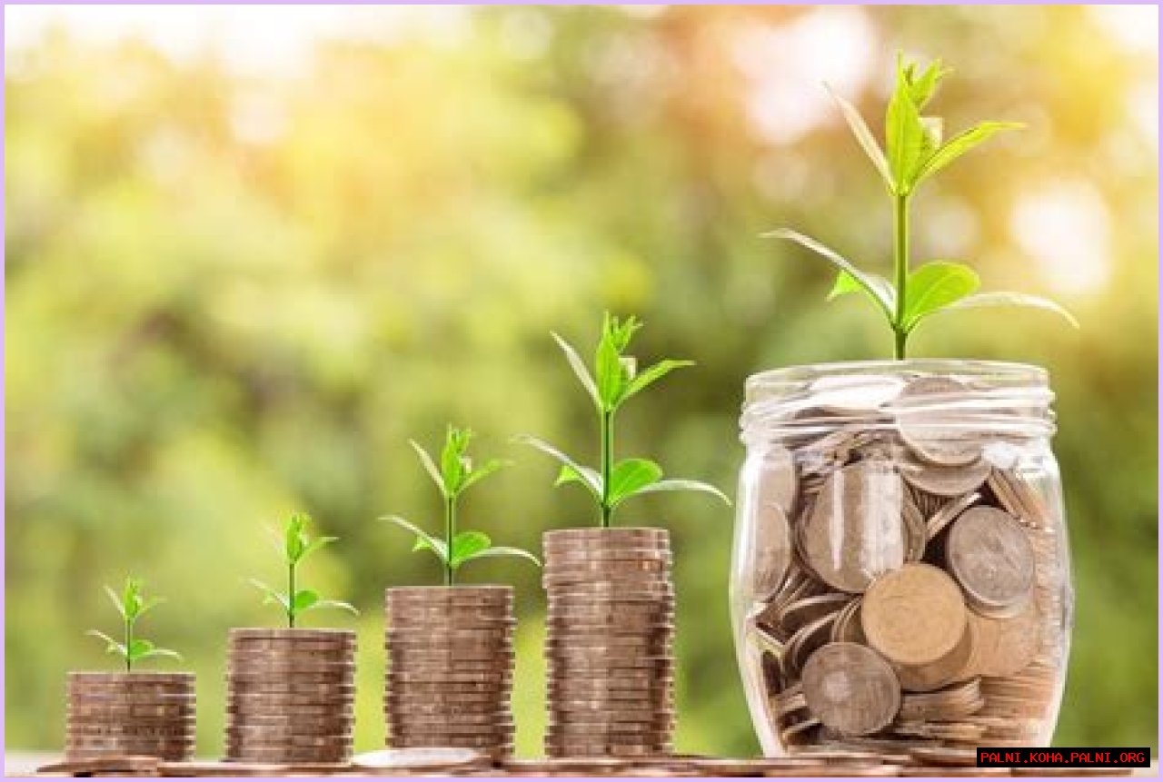 Surprising Wealth And Financial Ingenuity