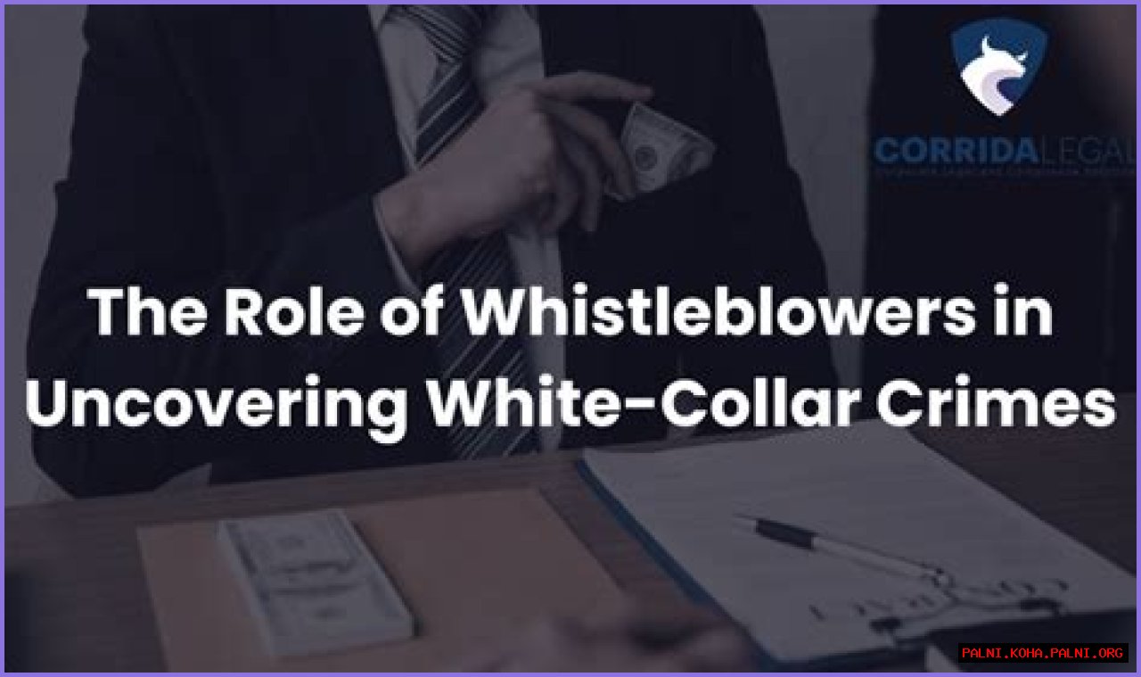 Uncovering White-Collar Crime And Its Impact