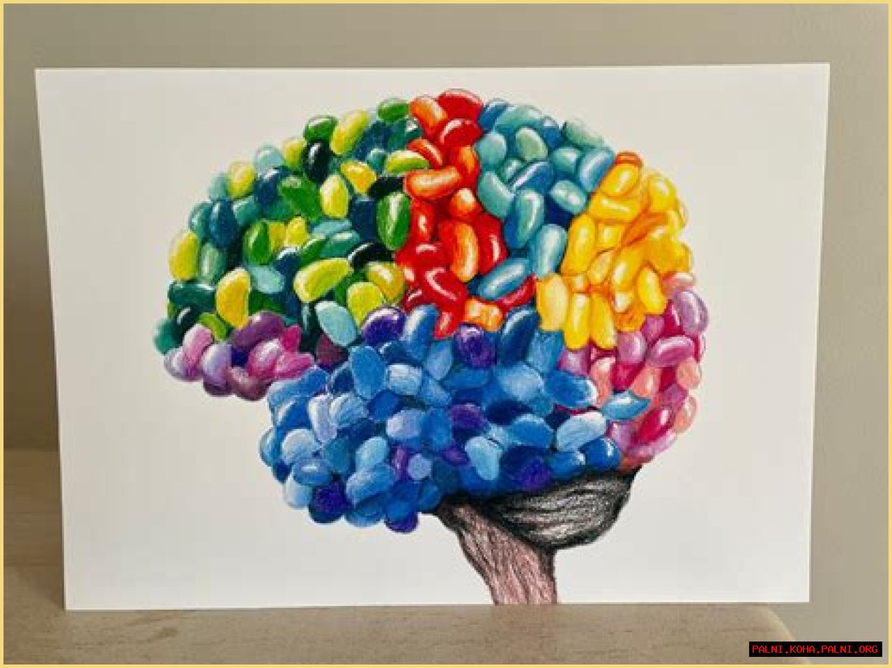Unleash The Secrets Of Your 'Jelly Bean Brain': Discoveries And Insights